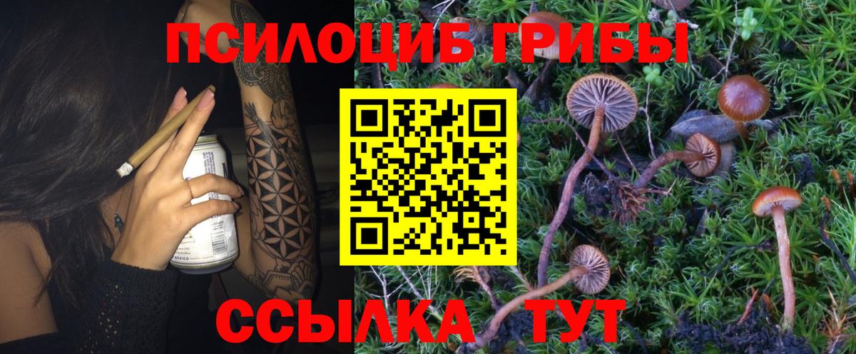 Галлюциногенные грибы Magic Shrooms Красногорск